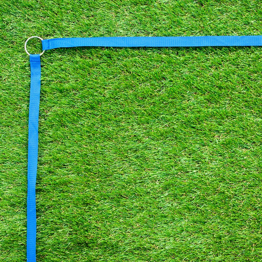 DOVBL Douglas Outdoor Volleyball Boundary Lines