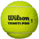 WR8204701001-CAN Wilson Triniti Pro Tennis Balls - Can (3 Balls)